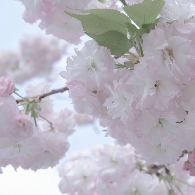 兽设洞穴场景绘制FurryQQ群